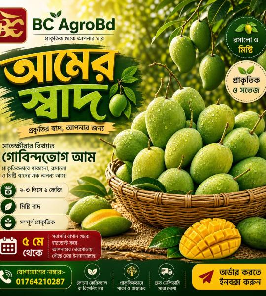 গোবিন্দভোগ আম {Primium}